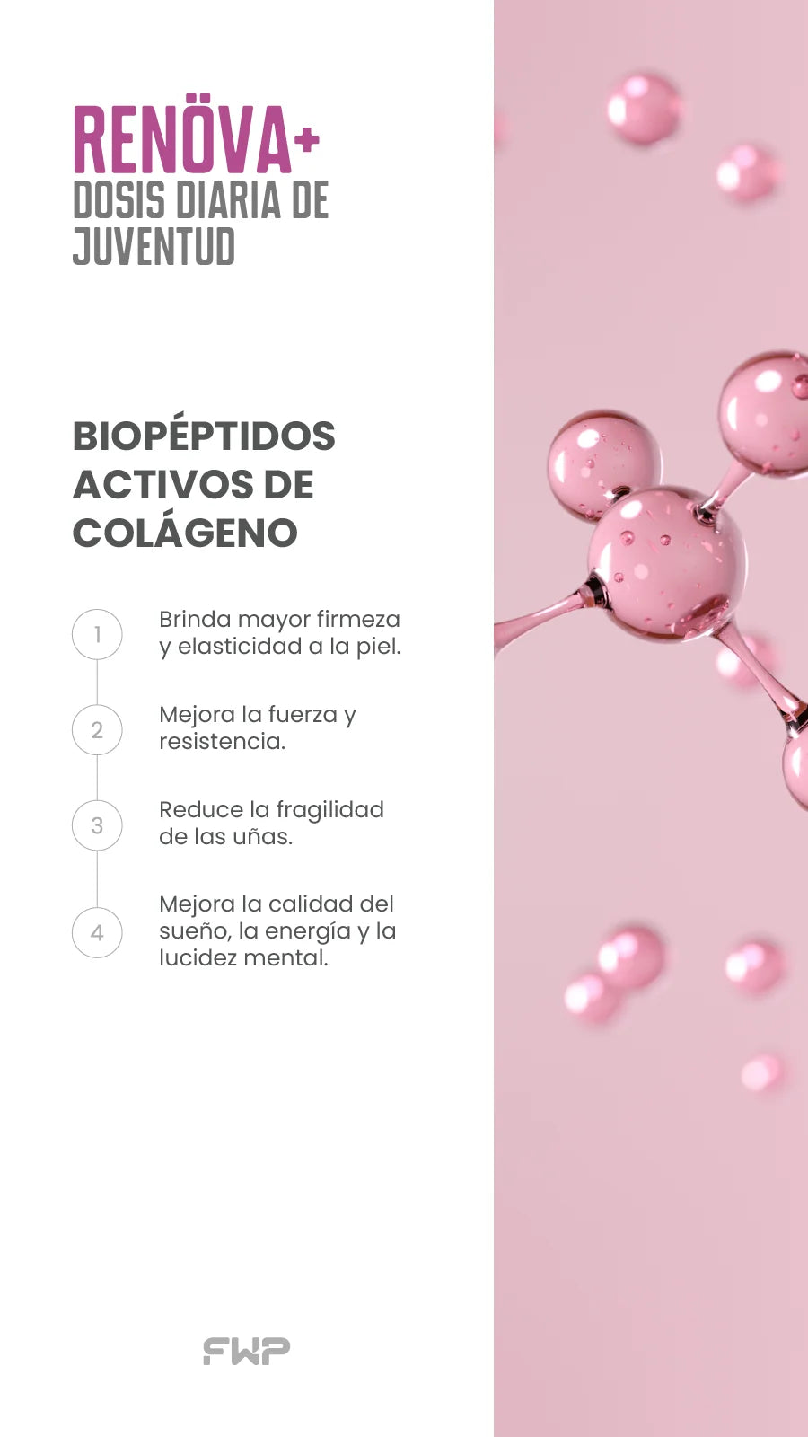 RENÖVA+ | Colágeno hidrolizado con biopéptidos activos